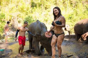 Mud play with elephants