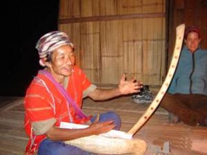 hill-tribe instrument