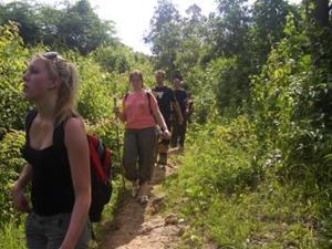 Jungle hiking, Buddy Tours, Chiang Mai, Thailand
