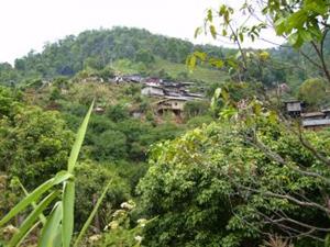 Bergvolk Dorf, Buddy Tours, Chiang Mai, Thailand