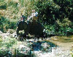 Elefantenritt durch den Mae Taeng Fluss, Chiang Mai, Thailand