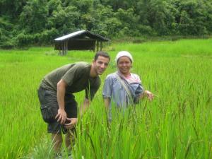 In a rice field