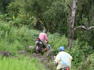 Ride through jungle