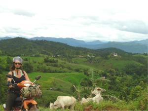 Woman in scenic enviroment with cows