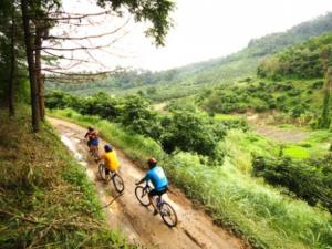 Mountainbiking on dirt roads in the mountains of