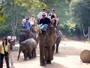 Elephant ride