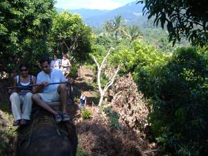 Elephant ride in the mountains of