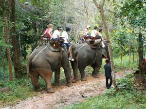 Elephant ride in the mountains of