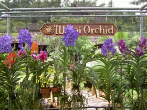 Orchid and Butterfly Farm