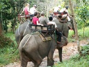 Elephant riding