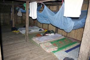 The place to sleep in jungle camp