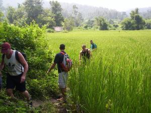 Mountain hiking through the jungle