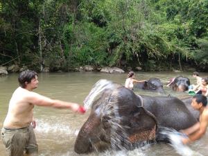 Elephant bathing