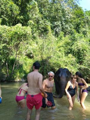 Elephant bathing