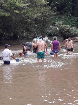 Elephant bathing