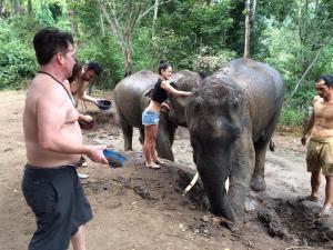 Elephant bathing