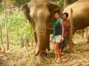 Girls feeding elephants