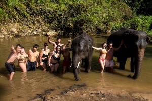 Group with elephants in river
