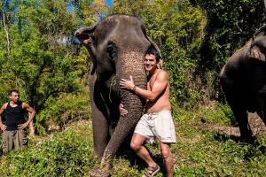 Man hugging elephant trunk