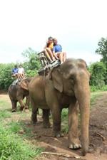 Elephantride