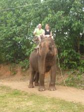 Elephantride