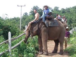 Elephant ride