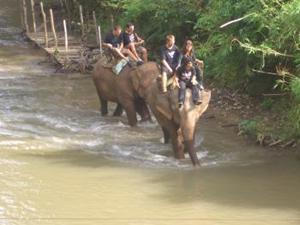 Elephant ride, Buddy Tours Chiang Mai, Thailand