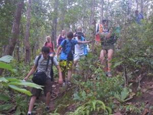 Jungle hiking, Buddy Tours Chiang Mai, Thailand