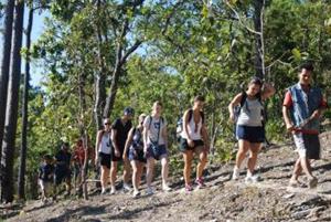 Trekking group walking, Buddy Tours Chiang Mai