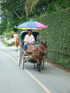 Horse carriage in Wiang Kum Kam, Chiang Mai, Thailand