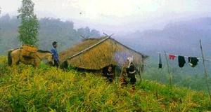 Akha Village, Chiang Mai, Thailand