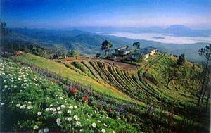 Huay Nam Dang National Park, Chiang Mai, Thailand