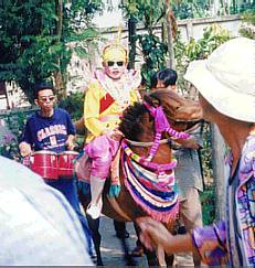 Cristal Son Riding a Dancing Pony in Chiang Mai