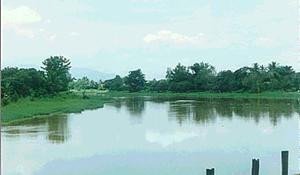 Mae Ping River, Chiang Mai, Thailand