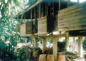 Rice Barn in Chiang Mai