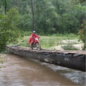 Crossing a river on a tree stem