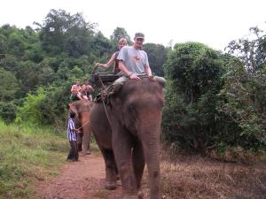 Elephant riding through the jungle