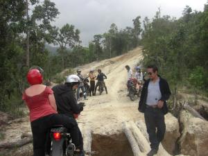 Tour group on a jungle road