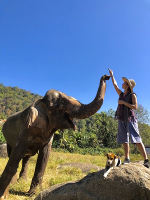 Elephant camp in Chiang Mai