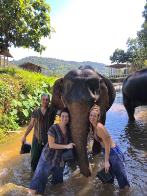 Half day tour Elephant Sanctuary