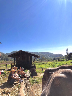 Elephant camp in Chiang Mai