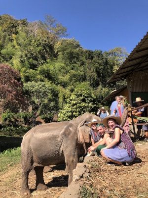 Elephant camp in Chiang Mai