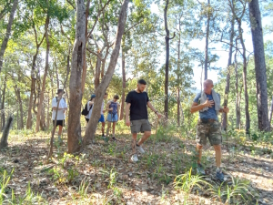 Jungle walk in Chiang Mai