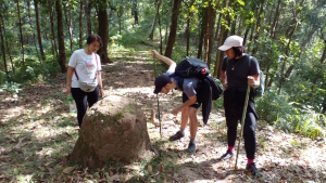 Jungle walk in Chiang Mai