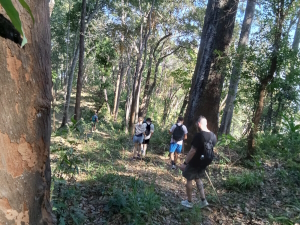 Jungle walk in Chiang Mai