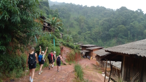 Jungle walk in Chiang Mai