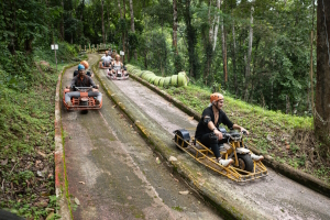 Luge Cart ride through the jungle of Chiang Mai