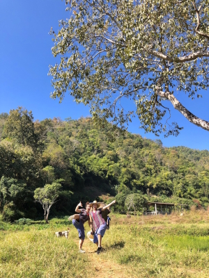 Walking through the jungle in Chiang Mai