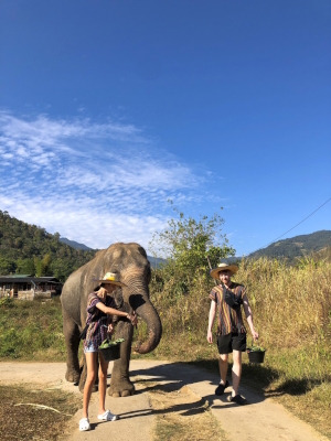 Walking with elephants in Chiang Mai