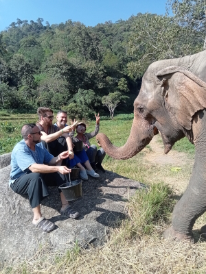 Walking with elephants in Chiang Mai